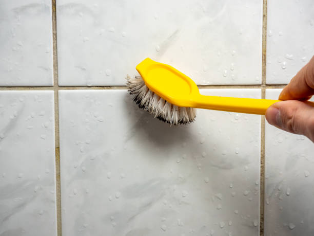 Best Mold Removal Near Me  in Lonoke, AR
