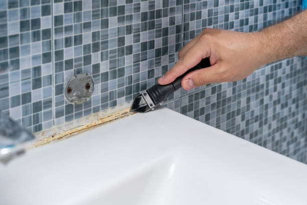 Best Mold Testing  in Lonoke, AR